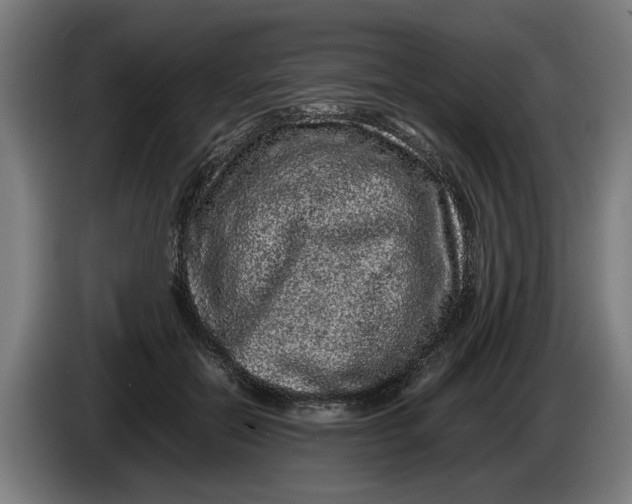 X0000086260554200704191906