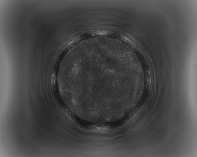 X0000086260555200704191906