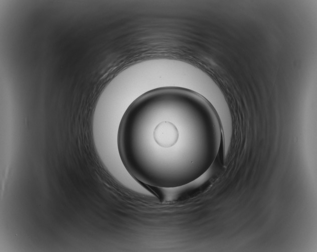 X0000086260556200704191906