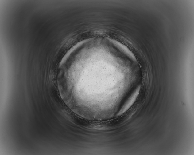 X0000086260557200704191906