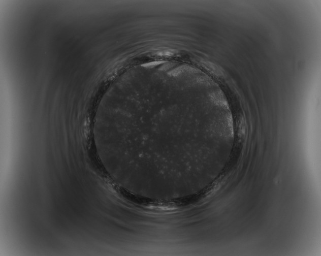 X0000086260559200704191906