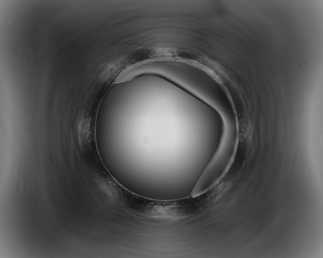X0000086260560200704191906