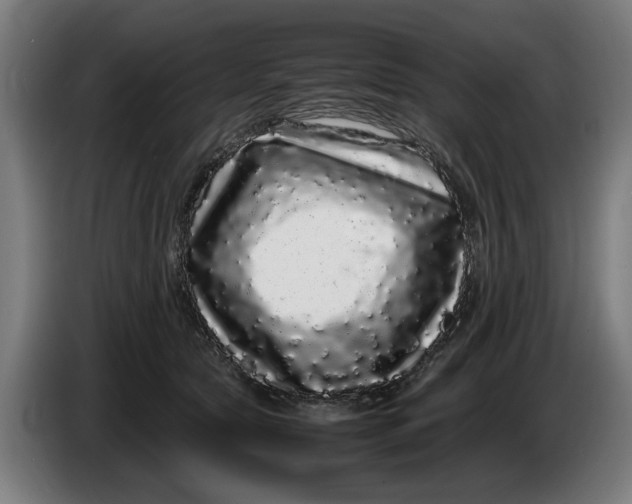 X0000086260561200704191906