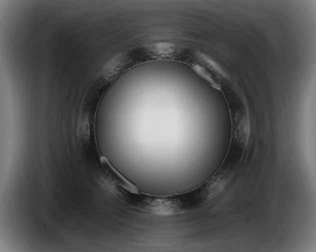 X0000086260562200704191906