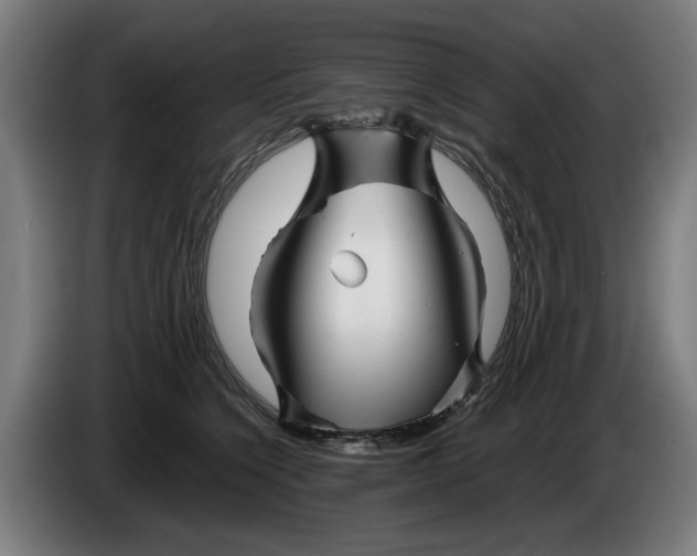X0000086260564200704191906
