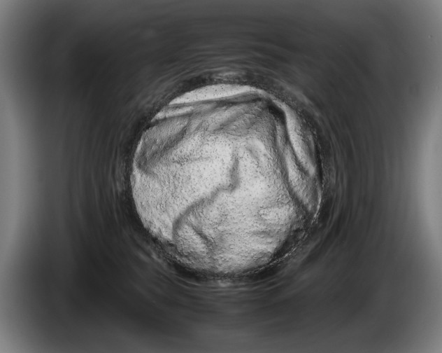 X0000086260565200704191906