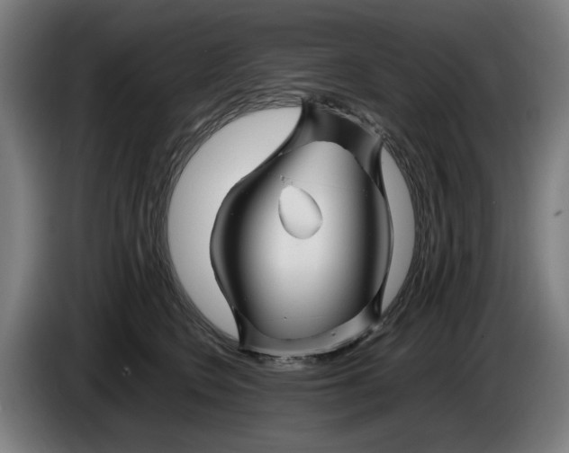 X0000086260566200704191906