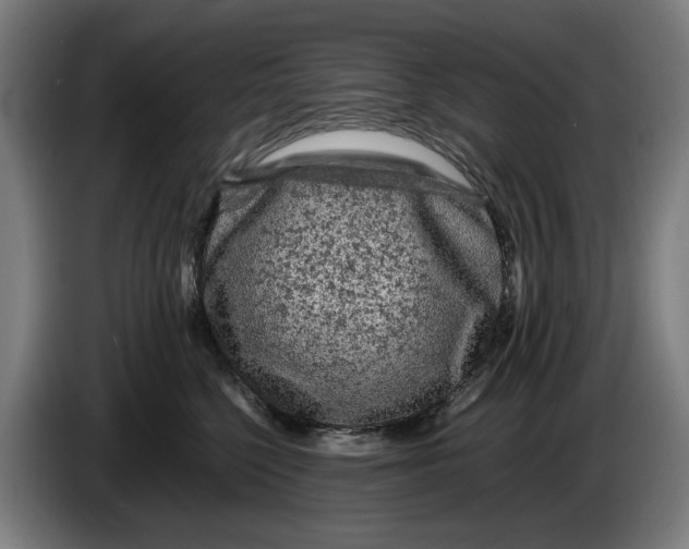 X0000086260568200704191906