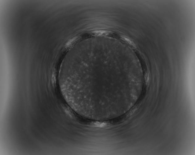 X0000086260570200704191906