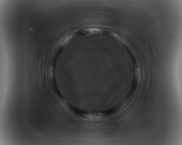 X0000086260571200704191906