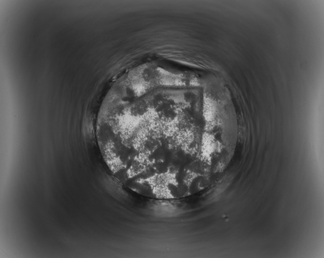 X0000086260573200704191906