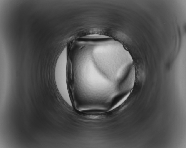 X0000086260575200704191906