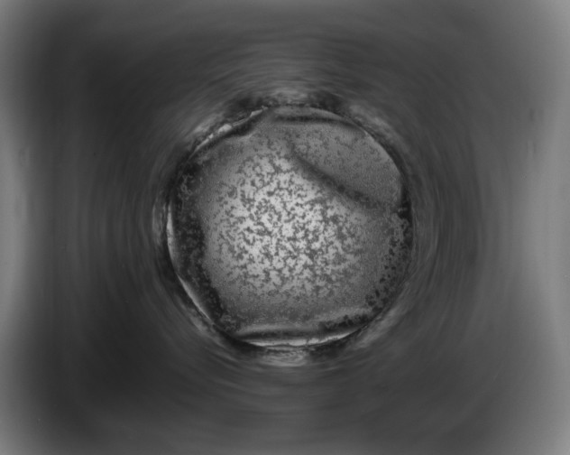 X0000086260576200704191906