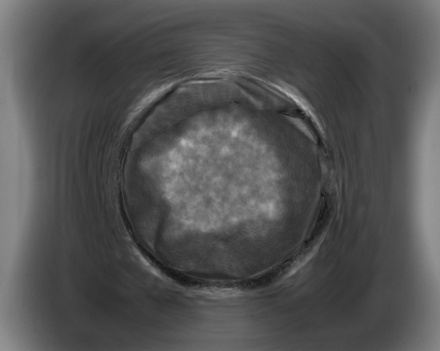 X0000086260577200704191905