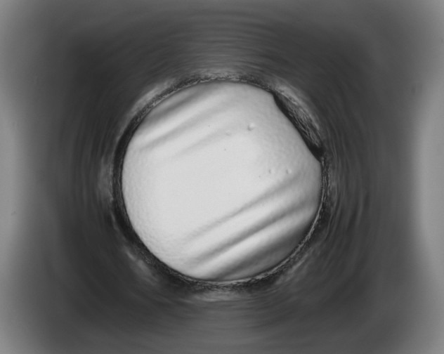 X0000086260578200704191905