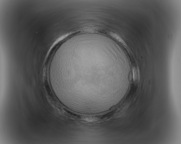 X0000086260579200704191905