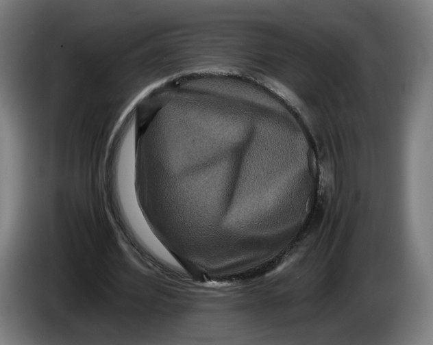 X0000086260580200704191905