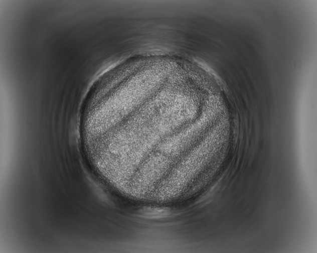 X0000086260582200704191905
