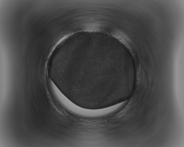 X0000086260584200704191905