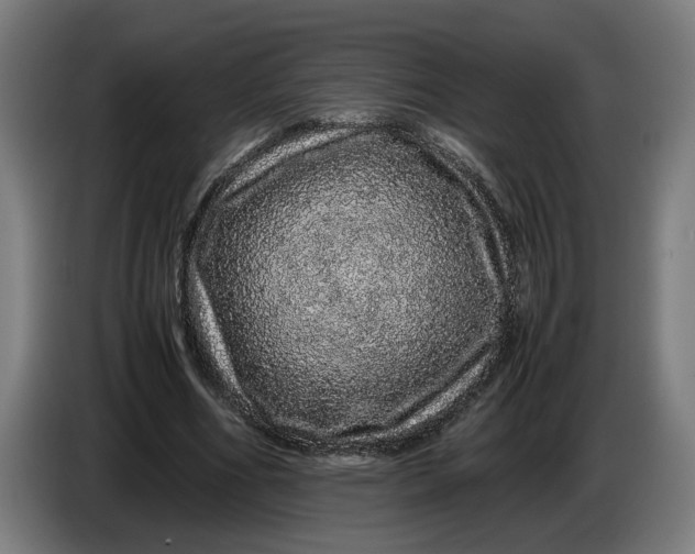 X0000086260586200704191905