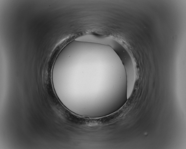 X0000086260587200704191905