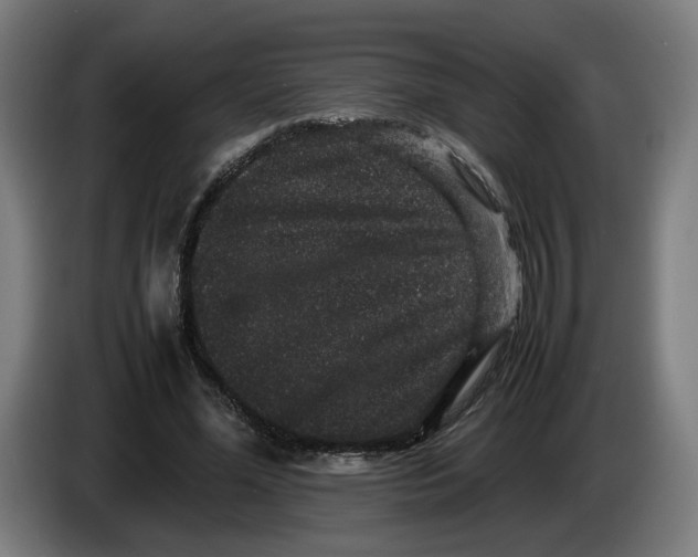 X0000086260588200704191905