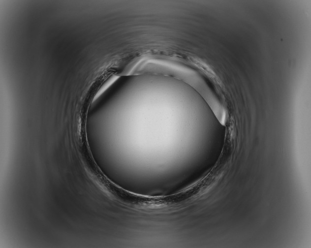 X0000086260589200704191905