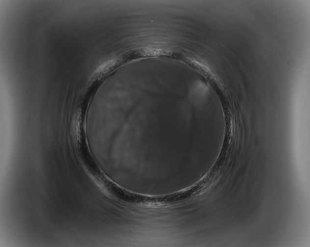 X0000086260590200704191905