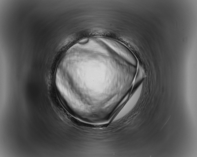 X0000086260591200704191905