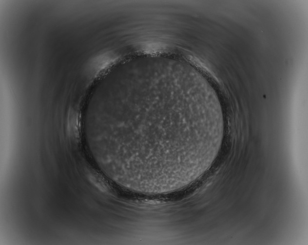 X0000086260592200704191905