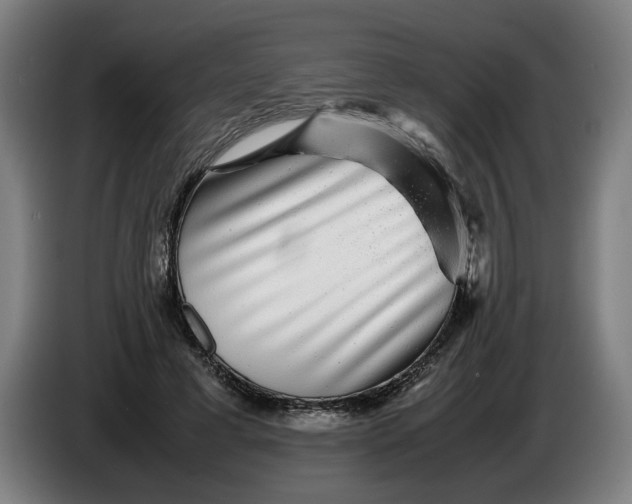 X0000086260593200704191905