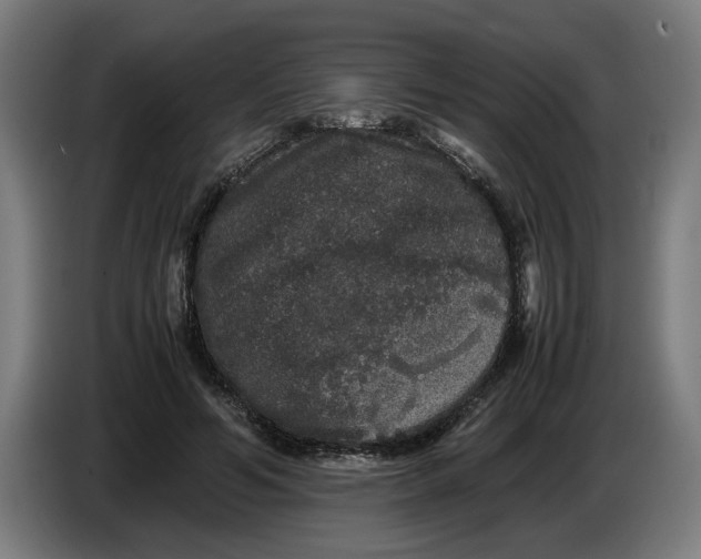 X0000086260594200704191905
