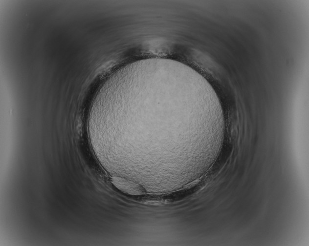 X0000086260595200704191905