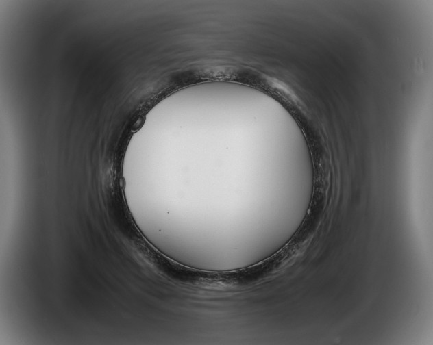 X0000086260597200704191905
