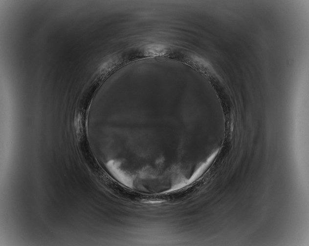 X0000086260598200704191905