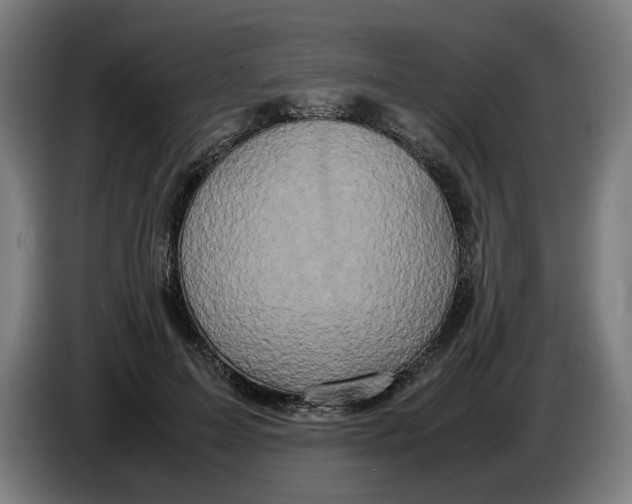 X0000086260599200704191905
