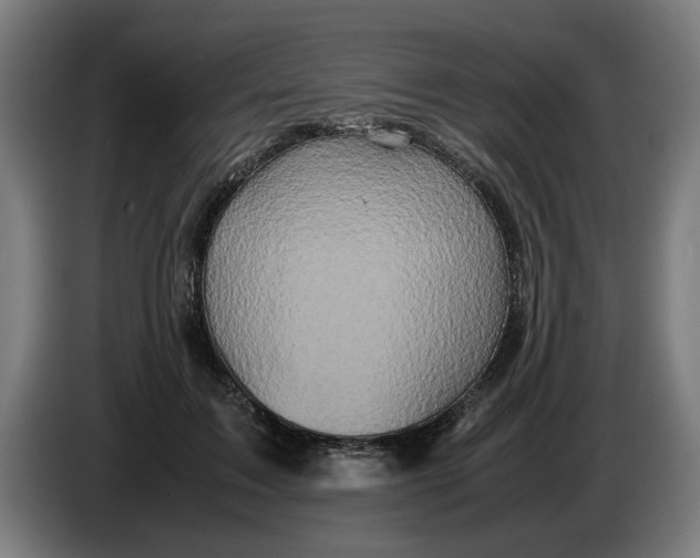 X0000086260603200704191905