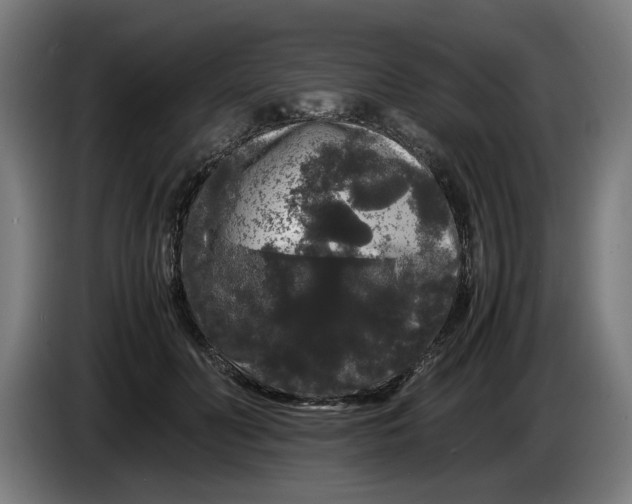 X0000086260606200704191905