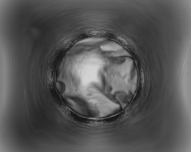 X0000086260607200704191905