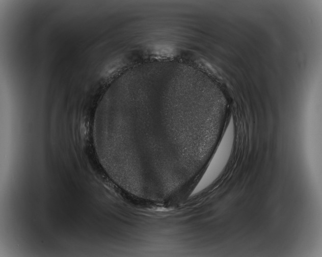 X0000086260608200704191905
