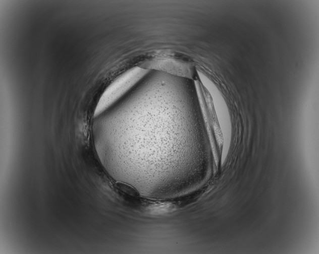 X0000086260609200704191905