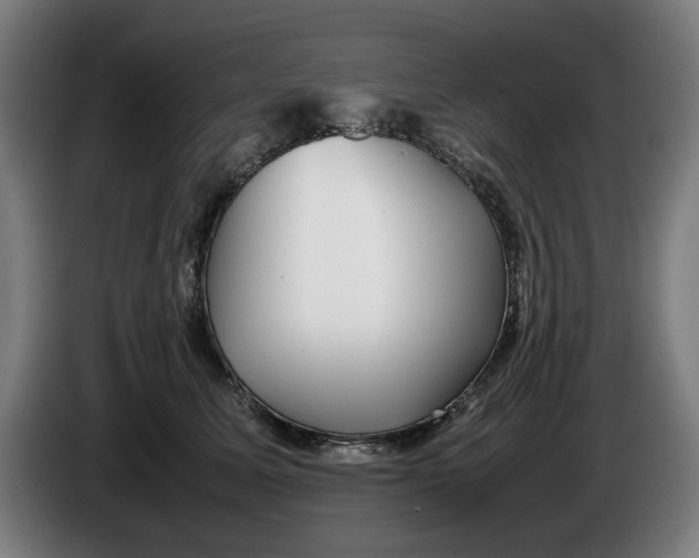 X0000086260611200704191905