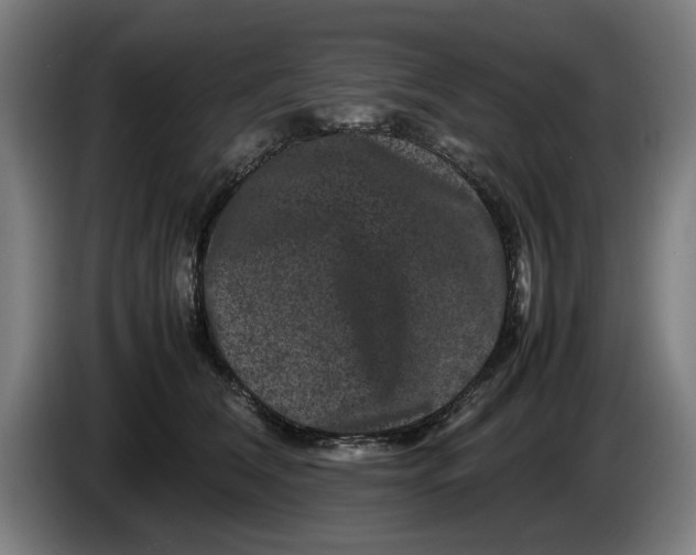 X0000086260612200704191905