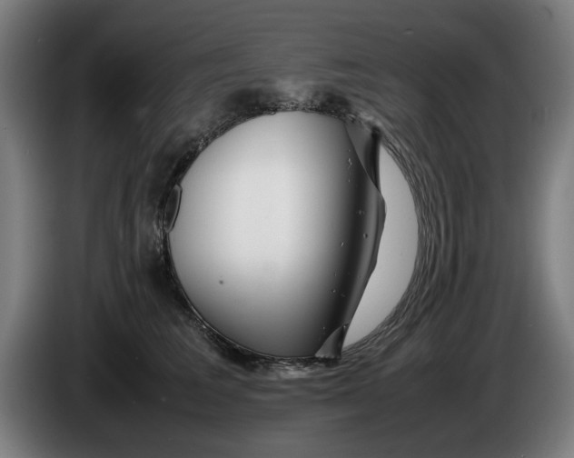 X0000086260613200704191905