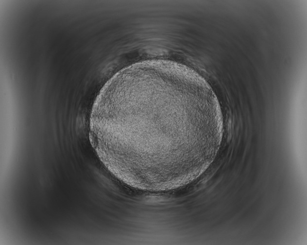 X0000086260614200704191905