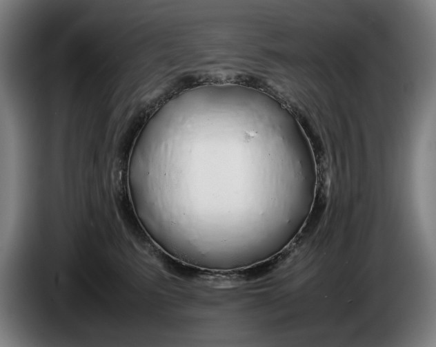 X0000086260615200704191905