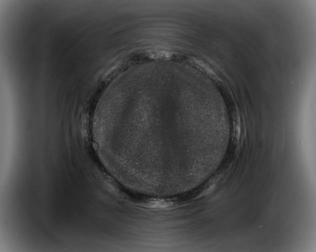 X0000086260616200704191905