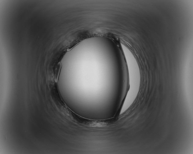 X0000086260617200704191905