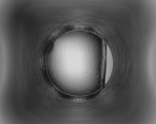 X0000086260619200704191905
