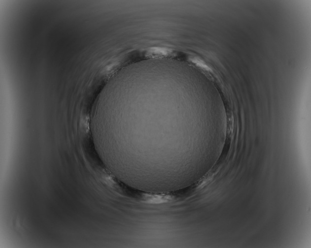 X0000086260621200704191905